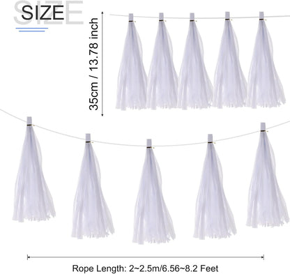MECCANIXITY 20Pcs Light Blue Tassel Garland Banner with Rope Tissue Paper Tassels Party DIY Kits for Anniversary Wedding Birthday Party