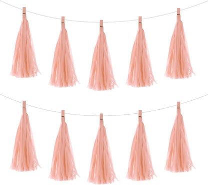 MECCANIXITY 20Pcs Light Blue Tassel Garland Banner with Rope Tissue Paper Tassels Party DIY Kits for Anniversary Wedding Birthday Party