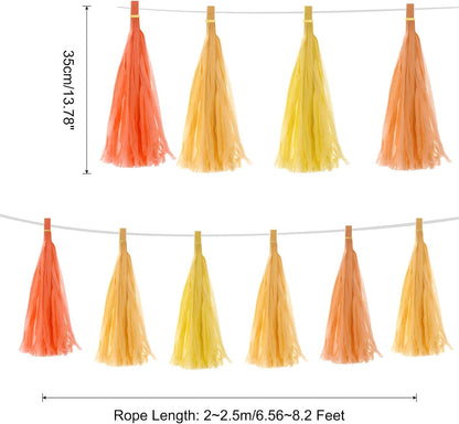MECCANIXITY 20Pcs Light Blue Tassel Garland Banner with Rope Tissue Paper Tassels Party DIY Kits for Anniversary Wedding Birthday Party