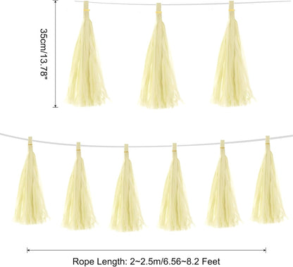 MECCANIXITY 20Pcs Light Blue Tassel Garland Banner with Rope Tissue Paper Tassels Party DIY Kits for Anniversary Wedding Birthday Party