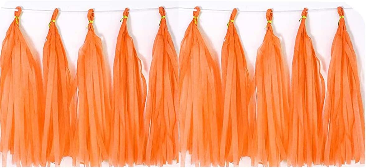 30pcs Paper Tassels Garland Banner Tissue Paper Tassel DIY Hanging Paper Decorations Party Tassel Garland Decor Baby Shower Nursery Wedding Festival Baby Shower Decoration(30, White)