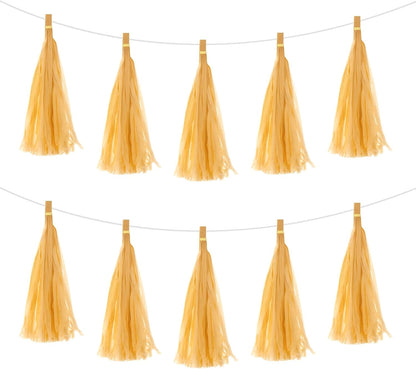 MECCANIXITY 20Pcs Light Blue Tassel Garland Banner with Rope Tissue Paper Tassels Party DIY Kits for Anniversary Wedding Birthday Party