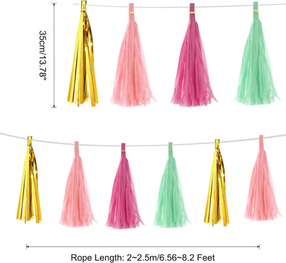 MECCANIXITY 20Pcs Light Blue Tassel Garland Banner with Rope Tissue Paper Tassels Party DIY Kits for Anniversary Wedding Birthday Party