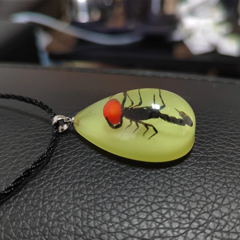 Glow in the Dark Necklace Black Scorpion Amber Resin Adjustable Necklace Pendent with Insect Sample Inside Birthday Gift for Lover Friends