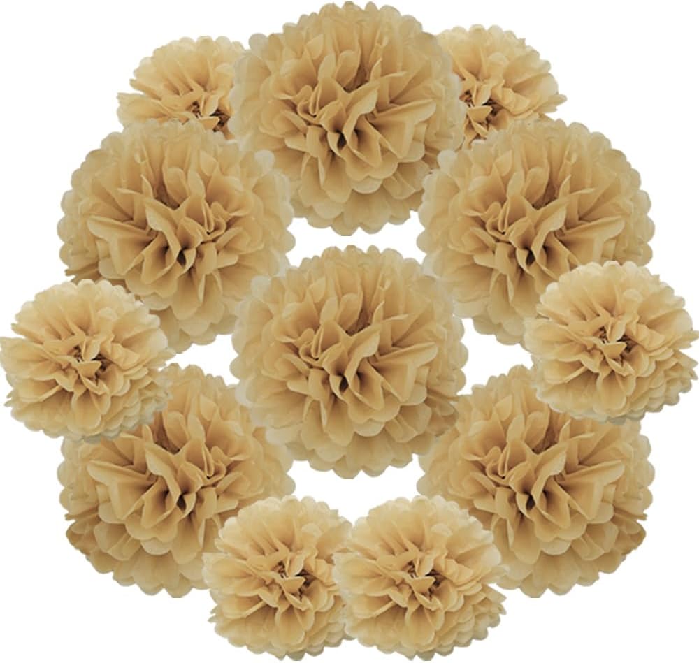 Yosawa 12 Pcs Tissue Paper Pom Poms Flowers,10''12''Paper Flower Party Decorations for Wedding Birthday Baby Shower Baby Girl Room Nursery Decoration（Sky Blue/ZH）