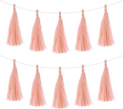 MECCANIXITY 15Pcs Light Blue Tassel Garland Banner with Rope Tissue Paper Tassels Party DIY Kits for Anniversary Wedding Birthday Party