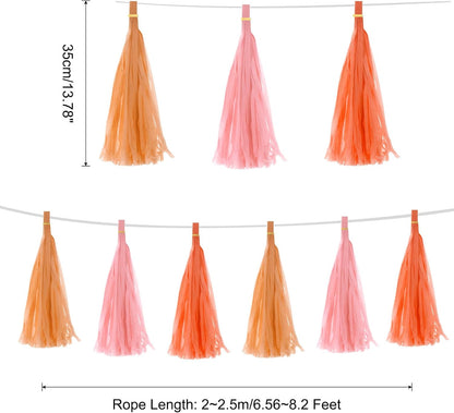 MECCANIXITY 15Pcs Light Blue Tassel Garland Banner with Rope Tissue Paper Tassels Party DIY Kits for Anniversary Wedding Birthday Party