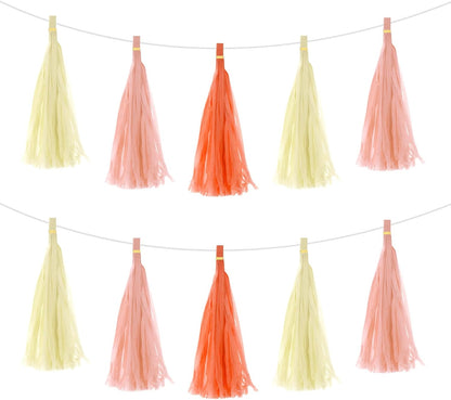 MECCANIXITY 15Pcs Light Blue Tassel Garland Banner with Rope Tissue Paper Tassels Party DIY Kits for Anniversary Wedding Birthday Party