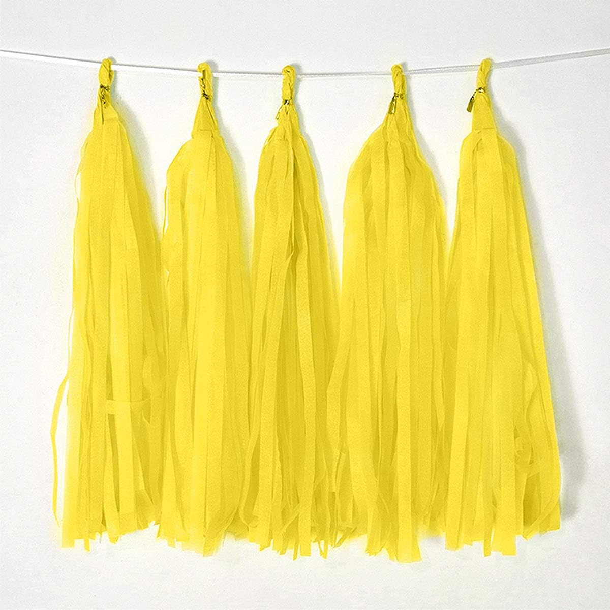 9.8in Blue Tissue Paper Tassel DIY Hanging paper decorations Party Garland Decor for Party Decorations Wedding,Festival,Baby Shower Decoration 20PCS25cm