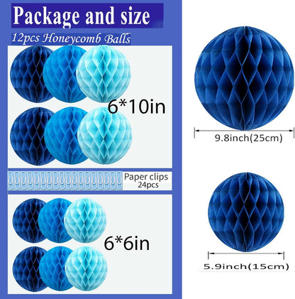 Rainbow Paper Honeycomb Balls,6 and 10 inch Hanging Tissue Pompoms,12 Pack Party Decorations