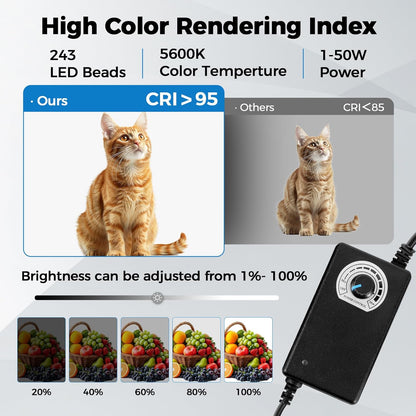Photo Light Box, 12/16/20/24/32 Inch Photography Light Box with CRI>95 120 Light Beads. Dimmable Shooting Tent Kit with White and Warm Light. 6 Color Backdrops Photo Booth for Studio Products Display