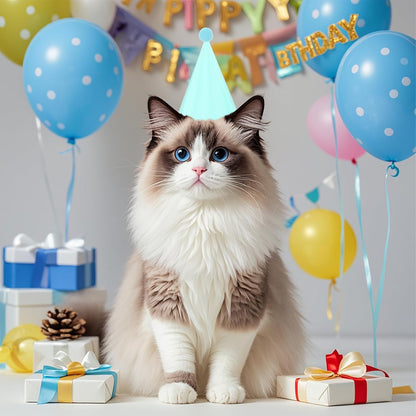 24 Pack Birthday Party Hats,8 Colors Cone Party Hat for Kids Adults Pets