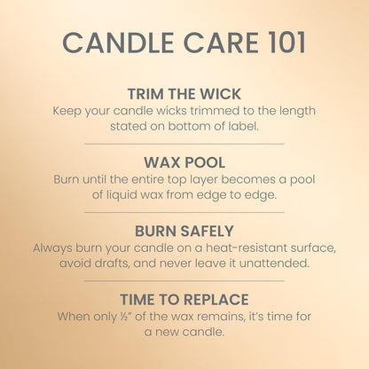 Yankee Candle Vanilla Cupcake, Scented Candle, 22oz Large Jar with up to 150 Hour Burn Time, Giftable, Birthdays