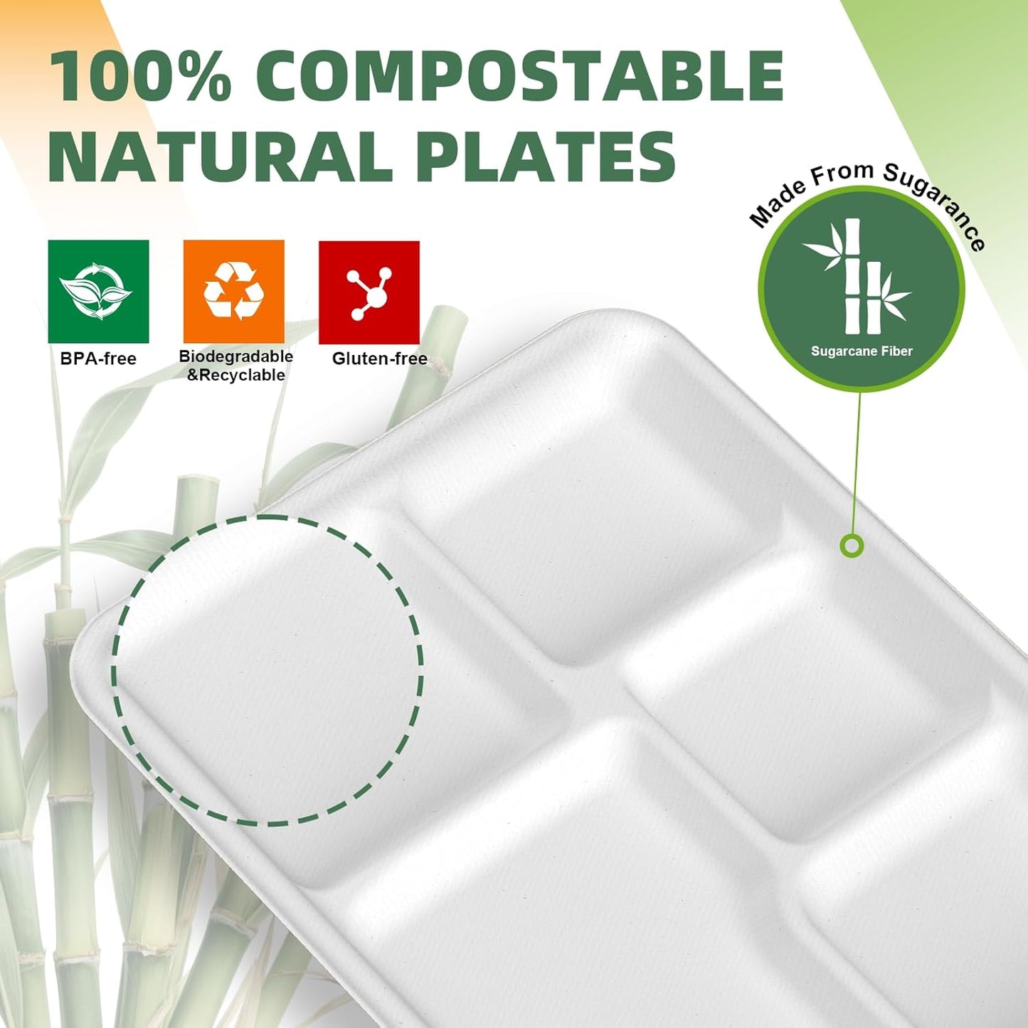 WELLIFE 100% Compostable 5 Compartment Paper Plates, 100 Pack Disposable School Lunch Trays Divided Plates for Adult Youth, 12.5 * 8.6 inch Heavy Duty Eco-Friendly Bagasse Plate for Buffet and Party