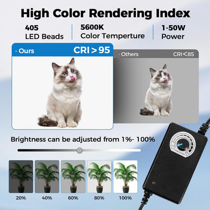 Photo Light Box, 12/16/20/24/32 Inch Photography Light Box with CRI>95 120 Light Beads. Dimmable Shooting Tent Kit with White and Warm Light. 6 Color Backdrops Photo Booth for Studio Products Display