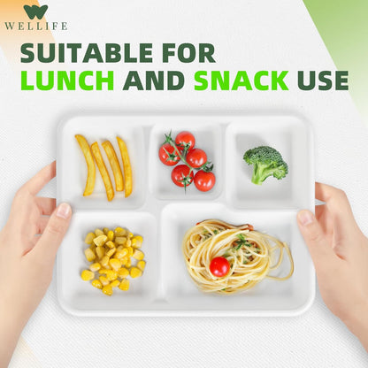 WELLIFE 100% Compostable 5 Compartment Paper Plates, 100 Pack Disposable School Lunch Trays Divided Plates for Adult Youth, 12.5 * 8.6 inch Heavy Duty Eco-Friendly Bagasse Plate for Buffet and Party
