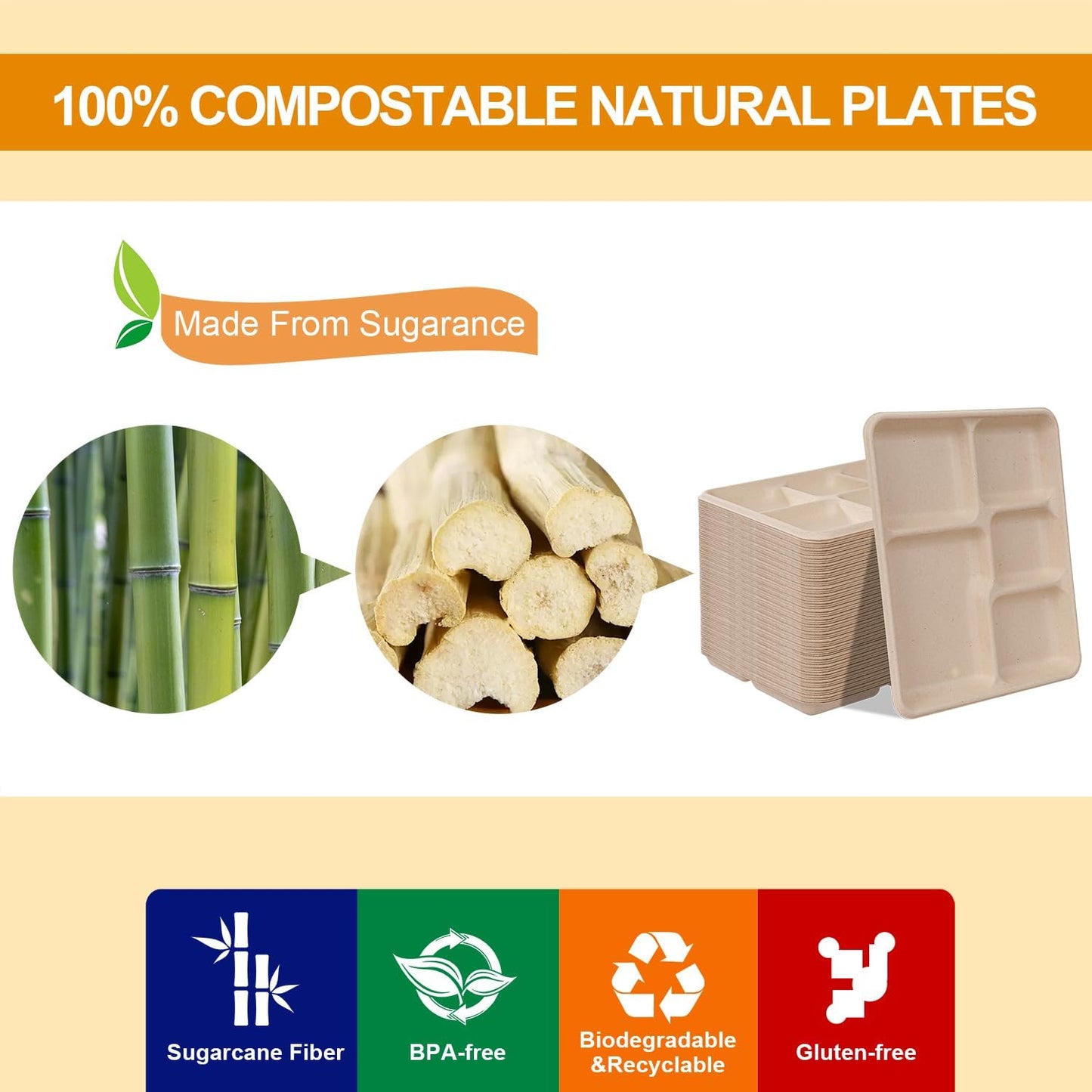 WELLIFE 100% Compostable 5 Compartment Paper Plates, 100 Pack Disposable School Lunch Trays Divided Plates for Adult Youth, 12.5 * 8.6 inch Heavy Duty Eco-Friendly Bagasse Plate for Buffet and Party