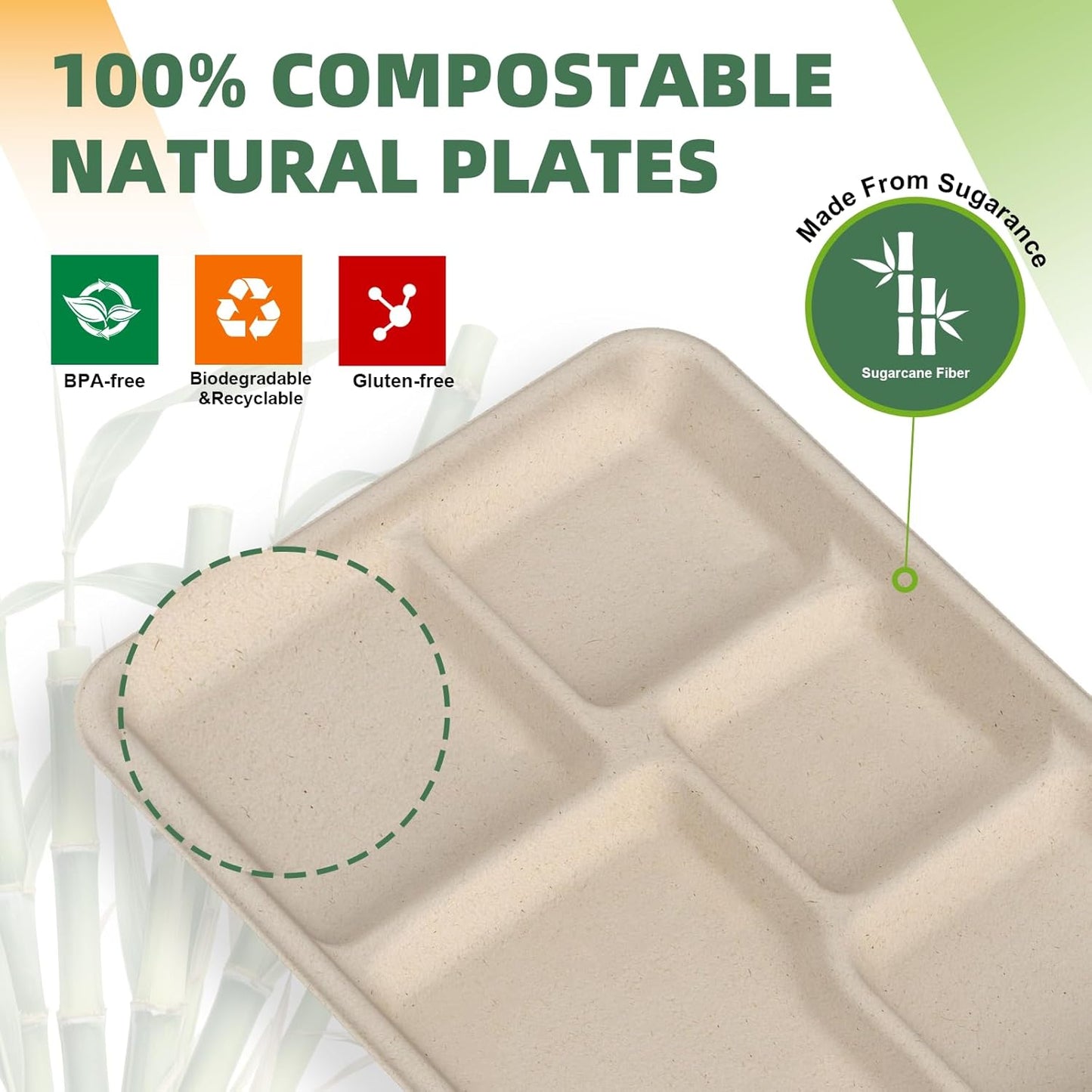 WELLIFE 100% Compostable 5 Compartment Paper Plates, 100 Pack Disposable School Lunch Trays Divided Plates for Adult Youth, 12.5 * 8.6 inch Heavy Duty Eco-Friendly Bagasse Plate for Buffet and Party