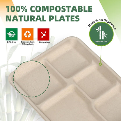 WELLIFE 100% Compostable 5 Compartment Paper Plates, 100 Pack Disposable School Lunch Trays Divided Plates for Adult Youth, 12.5 * 8.6 inch Heavy Duty Eco-Friendly Bagasse Plate for Buffet and Party