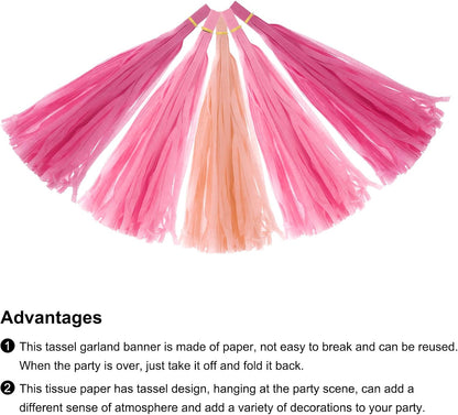 MECCANIXITY 15Pcs Light Blue Tassel Garland Banner with Rope Tissue Paper Tassels Party DIY Kits for Anniversary Wedding Birthday Party