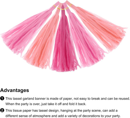 MECCANIXITY 15Pcs Light Blue Tassel Garland Banner with Rope Tissue Paper Tassels Party DIY Kits for Anniversary Wedding Birthday Party