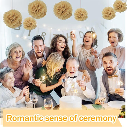Yosawa 12 Pcs Tissue Paper Pom Poms Flowers,10''12''Paper Flower Party Decorations for Wedding Birthday Baby Shower Baby Girl Room Nursery Decoration（Sky Blue/ZH）