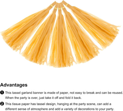 MECCANIXITY 15Pcs Light Blue Tassel Garland Banner with Rope Tissue Paper Tassels Party DIY Kits for Anniversary Wedding Birthday Party