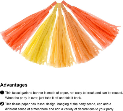 MECCANIXITY 20Pcs Light Blue Tassel Garland Banner with Rope Tissue Paper Tassels Party DIY Kits for Anniversary Wedding Birthday Party