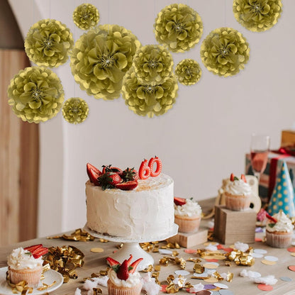 Tissue Paper Pom Poms, Pink Tissue Paper Flowers, Hanging Flower Balls for Weddings Fiesta Parties Birthday Baby Showers Classroom Bridal Shower Decoration (18Piece Set-6/10/12/14Inch)