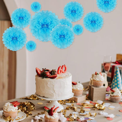 Tissue Paper Pom Poms, Pink Tissue Paper Flowers, Hanging Flower Balls for Weddings Fiesta Parties Birthday Baby Showers Classroom Bridal Shower Decoration (18Piece Set-6/10/12/14Inch)