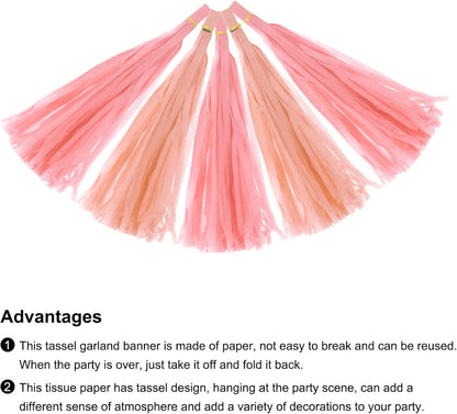 MECCANIXITY 20Pcs Light Blue Tassel Garland Banner with Rope Tissue Paper Tassels Party DIY Kits for Anniversary Wedding Birthday Party