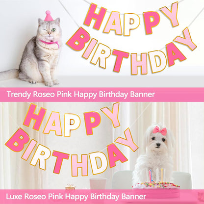 Happy Birthday Banner - 9ft Pre-Strung Happy Birthday Sign for Women, Men, Girls, Boys - No DIY Birthday Decorations & Party Supplies(Macaron)