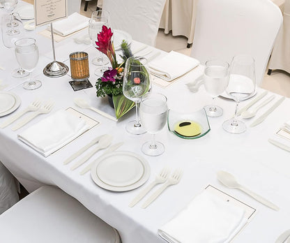 250 Piece Biodegradable Paper Plates Set (EXTRA LONG UTENSILS), Disposable Dinnerware Set, Eco Friendly Compostable Plates & Utensil include Plates, Forks, Knives and Spoons for Party
