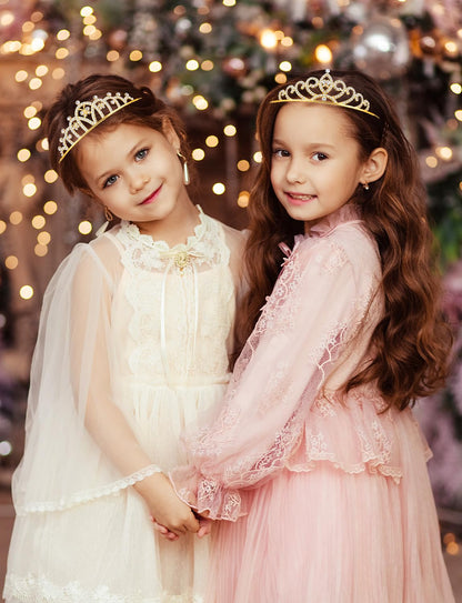 10 Pcs Crystal Crowns Headbands, Gold Princess Headband Rhinestone Crown Queen Headband with Comb for Women Princess Hair Accessories for Birthday Party, Wedding(Random)