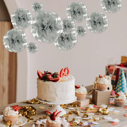 Tissue Paper Pom Poms, Pink Tissue Paper Flowers, Hanging Flower Balls for Weddings Fiesta Parties Birthday Baby Showers Classroom Bridal Shower Decoration (18Piece Set-6/10/12/14Inch)