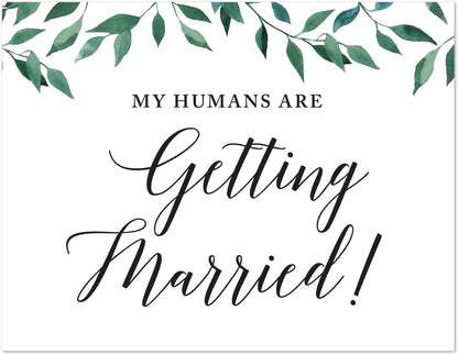 Andaz Press Wedding Party Signs, Natural Greenery Green Leaves, 8.5x11-inch, Bridal Shower Scavenger Hunt, 1-Pack - Colors D