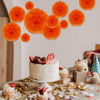 Tissue Paper Pom Poms, Pink Tissue Paper Flowers, Hanging Flower Balls for Weddings Fiesta Parties Birthday Baby Showers Classroom Bridal Shower Decoration (18Piece Set-6/10/12/14Inch)