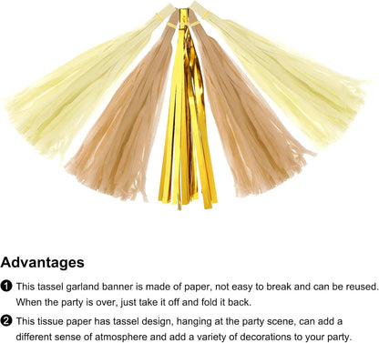 MECCANIXITY 15Pcs Light Blue Tassel Garland Banner with Rope Tissue Paper Tassels Party DIY Kits for Anniversary Wedding Birthday Party