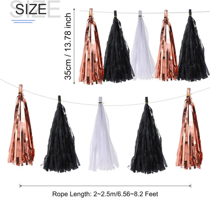 MECCANIXITY 15Pcs Light Blue Tassel Garland Banner with Rope Tissue Paper Tassels Party DIY Kits for Anniversary Wedding Birthday Party