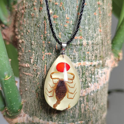 Glow in the Dark Necklace Black Scorpion Amber Resin Adjustable Necklace Pendent with Insect Sample Inside Birthday Gift for Lover Friends