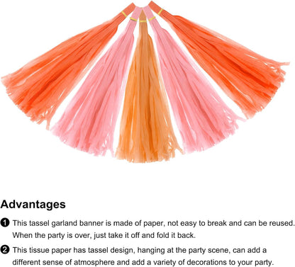 MECCANIXITY 15Pcs Light Blue Tassel Garland Banner with Rope Tissue Paper Tassels Party DIY Kits for Anniversary Wedding Birthday Party
