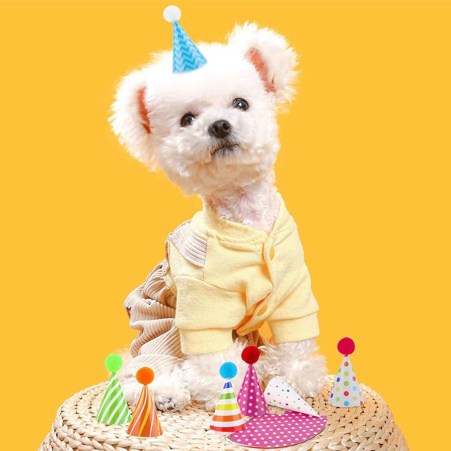 10 PCS Colorful Mini Party Hats for Stuffed Animals Lovely Paper Cone Tiny Birthday Hats for Stuffed Animals Pets Baby, Accessories