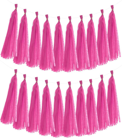 MECCANIXITY 20Pcs Tassel Garland Banner Tissue Paper for Streamers Party Decorations, Valentine's Day Birthday Decor for Women with Rope and Tie Wire (Pink, 14.6Inch)
