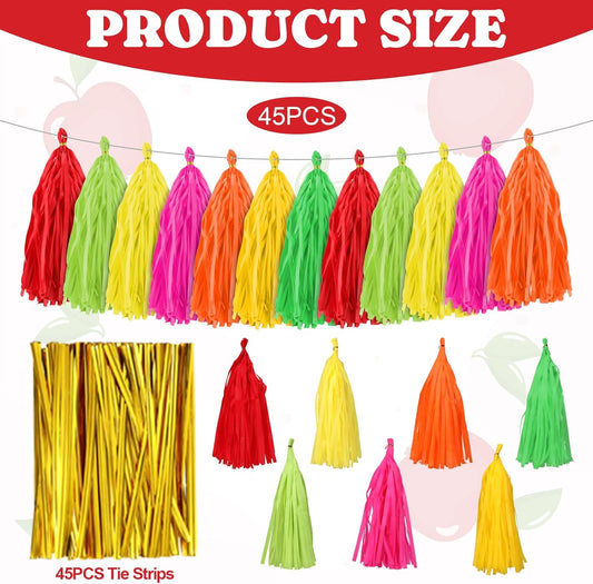 Fullhawl 45 Pcs Colorful Tassel Garland Decorations Tissue Paper Tassel Banner Rainbow Garland Hanging Decorations for Wedding Bachelorette Baby Shower Birthday Group Activities Games Decor Supplies