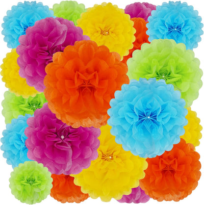 Tissue Paper Pom Poms, Pink Tissue Paper Flowers, Hanging Flower Balls for Weddings Fiesta Parties Birthday Baby Showers Classroom Bridal Shower Decoration (18Piece Set-6/10/12/14Inch)