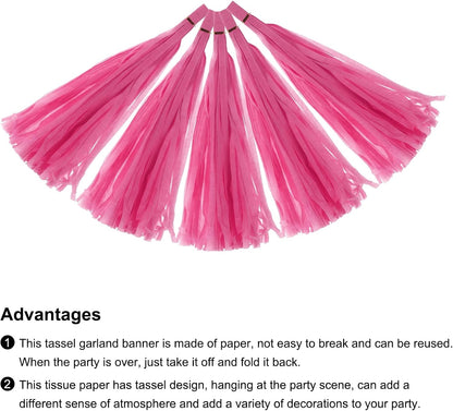 MECCANIXITY 20Pcs Light Blue Tassel Garland Banner with Rope Tissue Paper Tassels Party DIY Kits for Anniversary Wedding Birthday Party