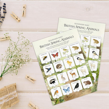 30Pcs Nature Scavenger Hunt Cards, Scavenger Hunt Cards Road Trip and Travel Activities, Spring Summer Holiday Party Supplies, Camping Games Outdoor Indoor Seek Activity-A03