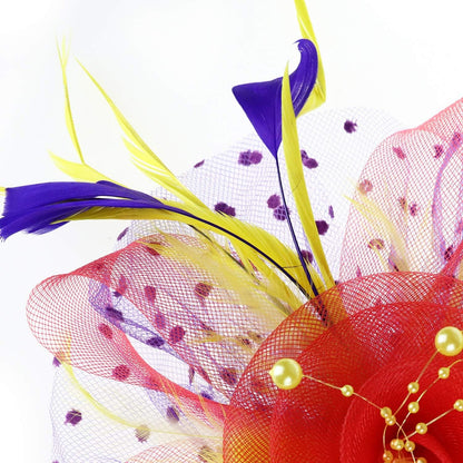 DRESHOW Fascinators Hat Flower Mesh Ribbons Feathers on a Headband and a Clip Tea Party Headwear for Girls and Women - Colors B