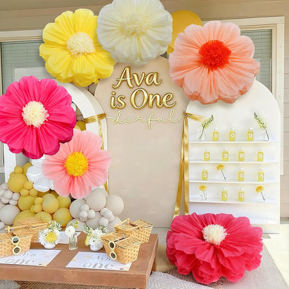 Chunful 5 Pcs 30'' 24'' Gaint Pastel Tissue Paper Flowers Decoration Large Hanging Tissue Paper Pom Poms Decor for Pastel Birthday Bachelorette Wedding Baby Shower Bridal Shower Easter Party Decor
