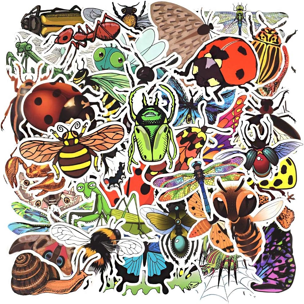 QTL Neon Stickers for Teens & Students Prizes, Waterproof Vinyl Party Favor Stickers, School Rewards, Water Bottle and Laptop, 50PCS - Colors A